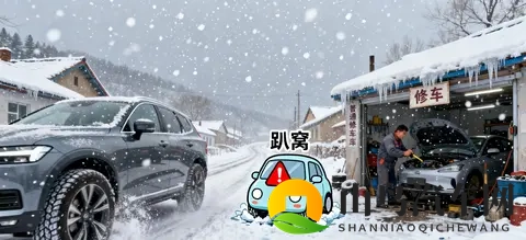 燃油车真的要凉了？2025年数据打脸所有人！-2