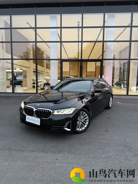 21万多拿下，感受行政级座驾魅力——二手宝马525Li-1