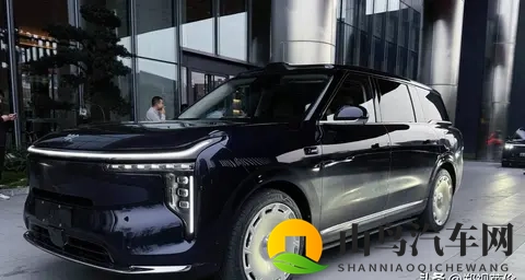 智己LS9街头偶遇记-1