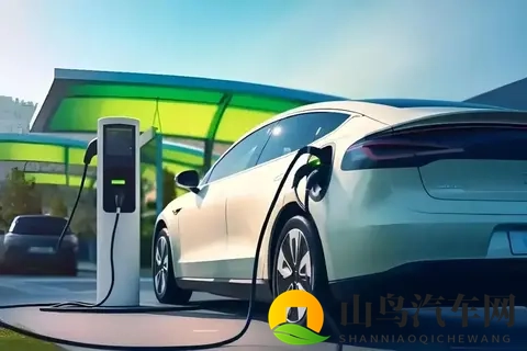 电车鄙视链真相:30万年薪的人买油车,300万年薪的人开电车-3