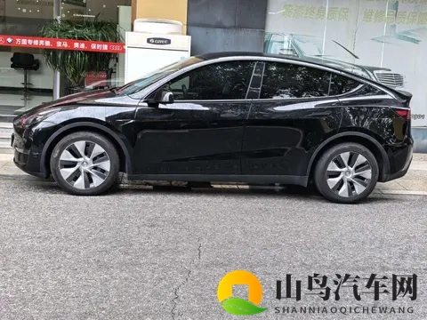 15万多拿下21年特斯拉Model Y，6万公里电动SUV代步新选择？-2