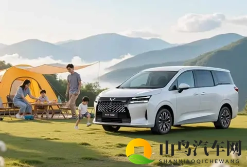 燃油车突然集体登场，新能源慌了吗？老司机们却笑了-1