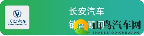 国产燃油车卖得怎么样？5位销售一起聊聊实际情况-2