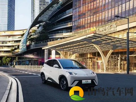 10万预算买纯电车,这五款“销量王”值得一看!-3