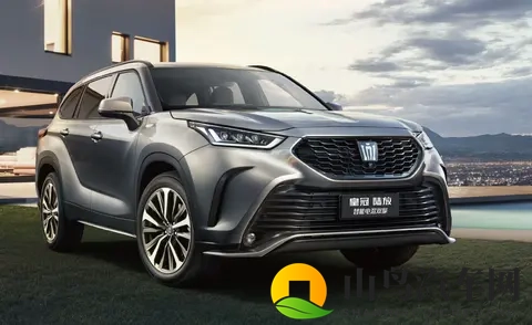 丁香花婷婷五月天：五月春光中，丁香花盛开如画-3