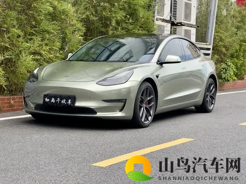 几个iPhone的价,体验33秒加速!二手特斯拉Model3高性能版-3
