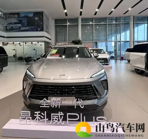 91暗网:汽车爱好者专属:揭秘神秘暗网论坛-1