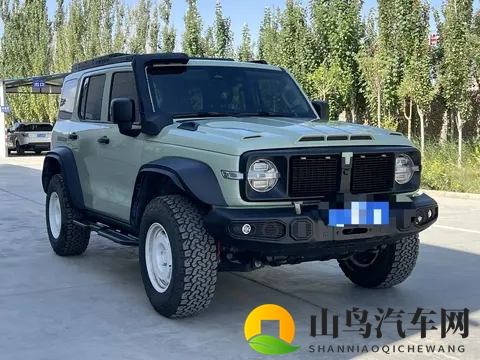 一手准新坦克300铁骑02：圆你硬派越野梦-1