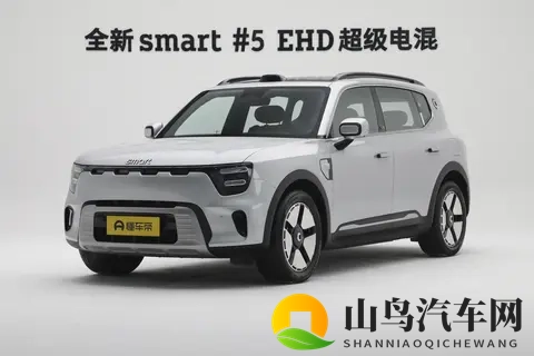 豪华与实用如何兼得?20万左右的预算,选smart精灵#5 EHD-3