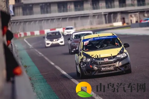 9月份全国只有16人懂车，剁椒鱼头逼宫飞度-1