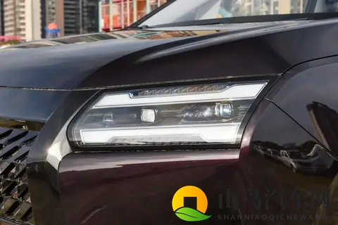 预售768万起，订单突破15000台，大7座配电滑门，星光730真带劲-2