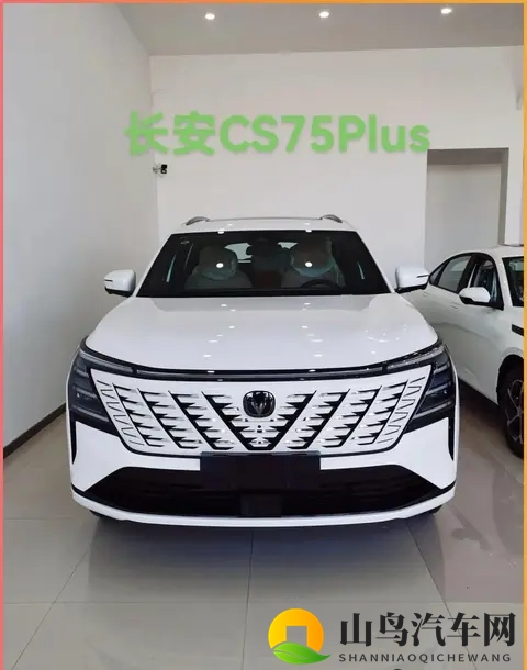 6款即将上市的”，中年大叔的“心头好”，看看有没有你喜欢的？-3