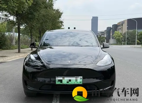 二手特斯拉Model Y购买指南：性价比，风险，未来？-3
