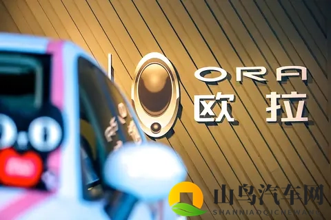 靠欧拉5这款纯电SUV，长城欧拉能不能翻盘？-2