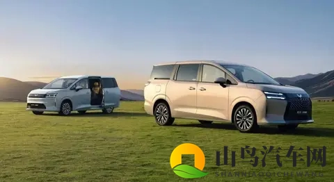 73万起，三种动力可选，五菱星光730把MPV价格“打”下来了！-1