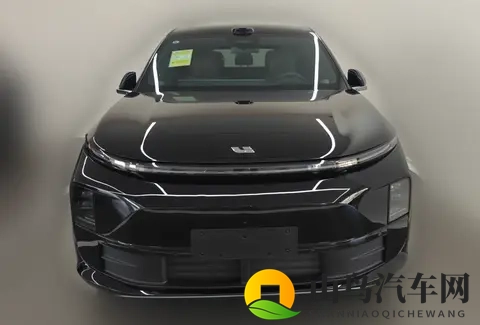 理想L6:男女老少通吃,客户共同点是没有6座需求-3