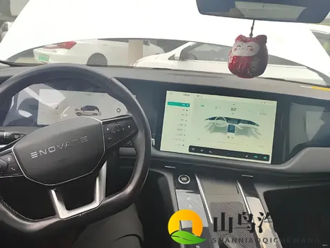 倒闭车企的烂尾车成为年轻人的香饽饽!14 万买 23 万配置,赌赢了?-2