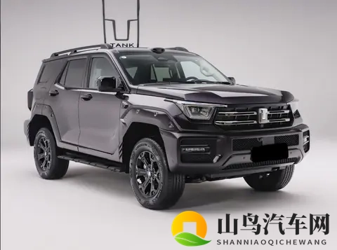 再等2天，新一代坦克400将上市发售，四种动力可选-1