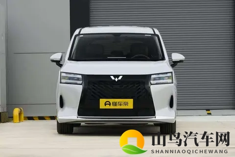 星光730一车三动力，好开又好坐，全家人都满意的全能舒享大7座-1