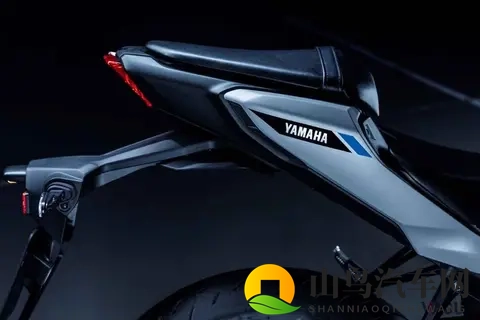 三款“250cc街头霸王” 易于驾驶，能够胜任长途旅行的各种需求-1