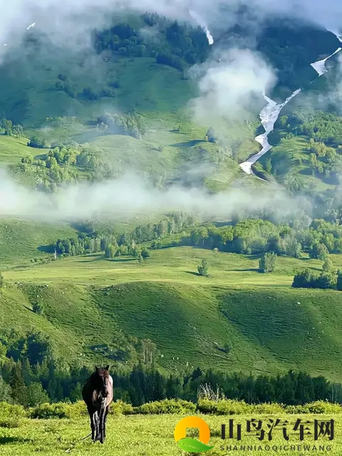 一区二区综合：一区二区汇总分析报告-1