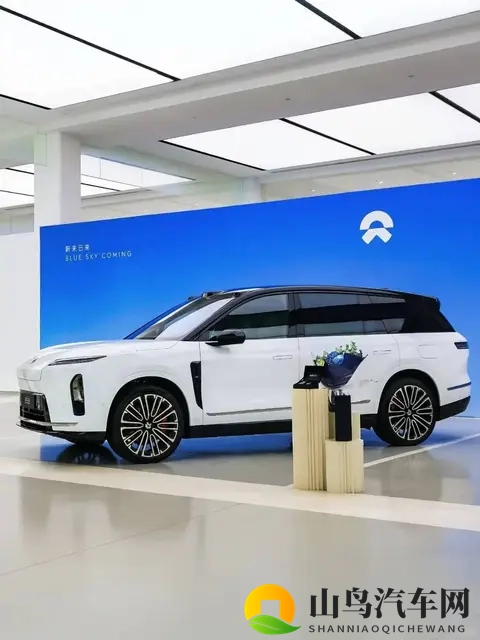 污应用:智能导航助驾驶,汽车科技新潮流-3