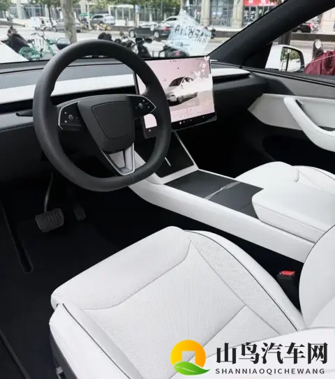 Model Y L 浅灰内饰太好看了!选装太值了!-1