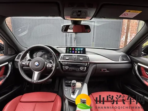 13万拿下宝马3系曜夜版，46万公里，圆你蓝天白云梦！-1