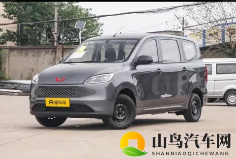 548万起!全新五菱宏光燃油版上市,7座+15L超实用-1