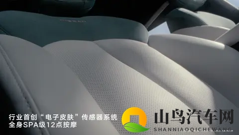 10万元带冰箱彩电大沙发，日产要开始亏钱卖车了…-3