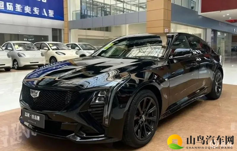 樱花私人影院的电视剧特点：探索樱花影院剧集独特魅力-2