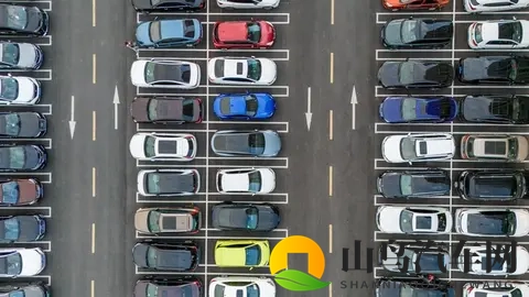 何小鹏预言：10年后中国汽车5强格局展望-2