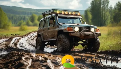 为何不买“油电混动”的人变多了?老车主透露3大缺点,太现实!-3