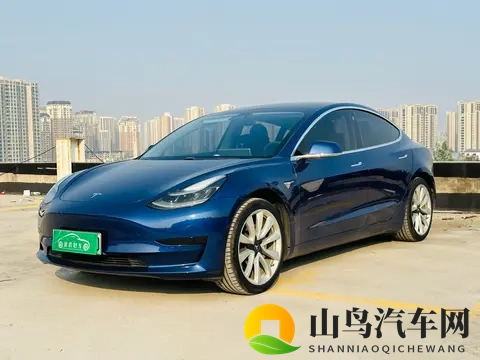 十年不过时,79万公里,10万拿下二手特斯拉Model3-3