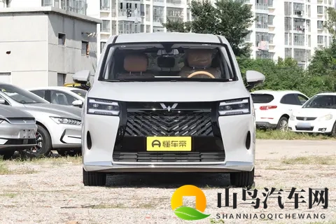 768 万起的舒享大7座MPV—星光730 PHEV，真7座大空间+电滑门-3