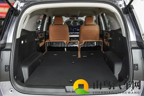 能拉货能越野，价格是坦克300的一半，配20T+8AT，分时四驱-1