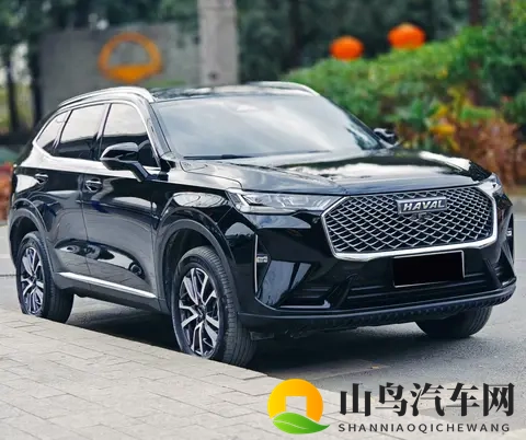 普通家庭我建议你们买一台15万左右的油车就够了-1