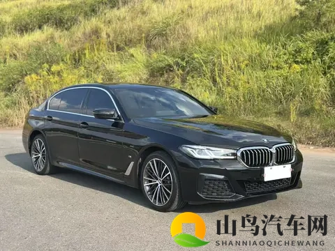一手准新宝马5系，20T也能优雅从容，宜商宜家！-3