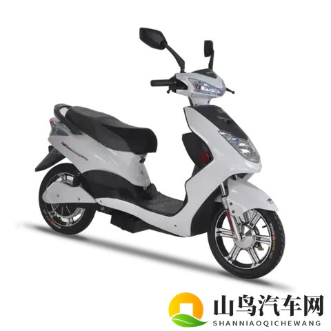 电摩也“神仙打架”？2025年顶级玩家都拼啥？-1