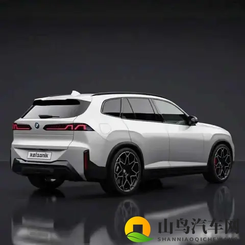 宝马X5要上氢燃料,是真创新还是瞎折腾?-3