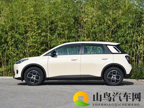 亲民版“海豚”上市！租电售价499万，续航达500Km，还支持换电-1