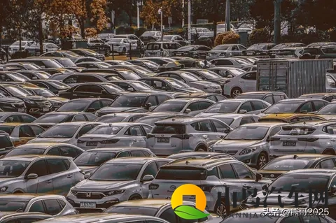 倒闭车企“烂尾车”受年轻人青睐,独特消费观引热议-1