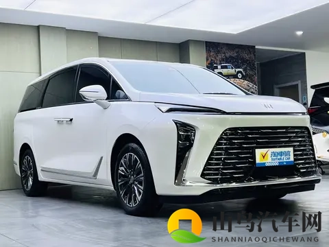 准新一手别克GL8陆尊:25款20T,8千公里,宜商宜家!-2