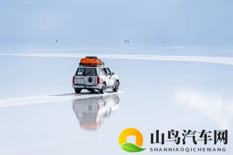 美女搞鸡：美丽佳人涉足鸡场风波-2