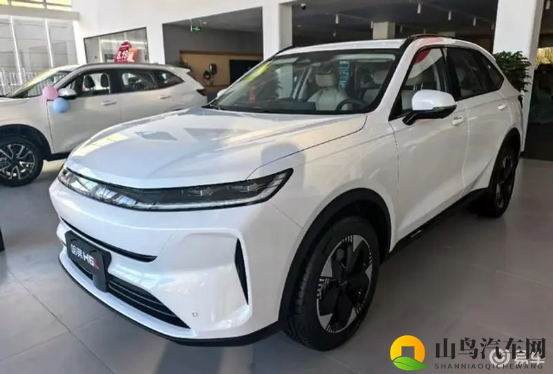 哈弗H6新增4米8车型，提供1.5T_2.0T动力-1