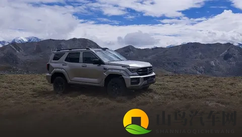 全新坦克400上市，4种动力挑花眼，具体应该怎么选？-2