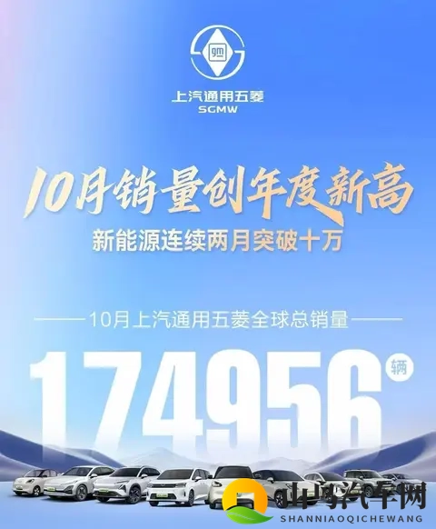 政策因素推动车市分化，主流车企增长乏力，新势力纯电动销量大涨-1