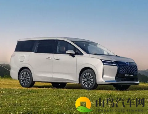 五菱别克小鹏齐上阵,MPV不再只给老板坐,家庭出行悄悄变了天-1