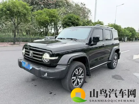 一手准新，圆你硬派越野梦——二手坦克300-3