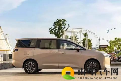 菜农拉货，宝妈带娃，年轻人创业，五菱MPV装下了800万人的生活-1